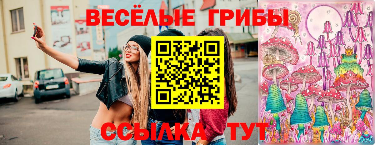 Можайск  закладка  Вход с VPN  Галлюциногенные грибы Cubensis 